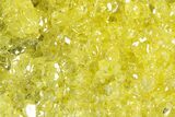 Bright-Yellow Sulfur Crystals - Bolivia #305310-2